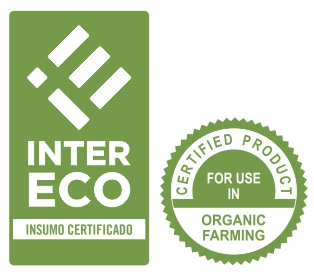 logo inter eco